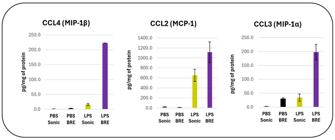 OMNI-A-Streamlined-Approach-to-Quantify-Inflammatory-Cytokines-from-Serum-and-Skin-Table
