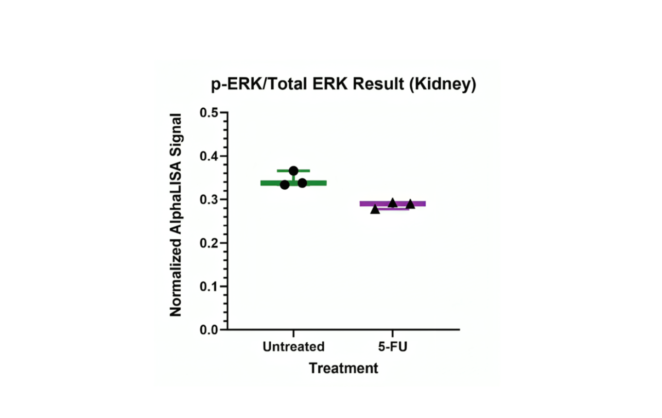 Combining Protein Extraction using the Bead Ruptor Elite with Detection ...