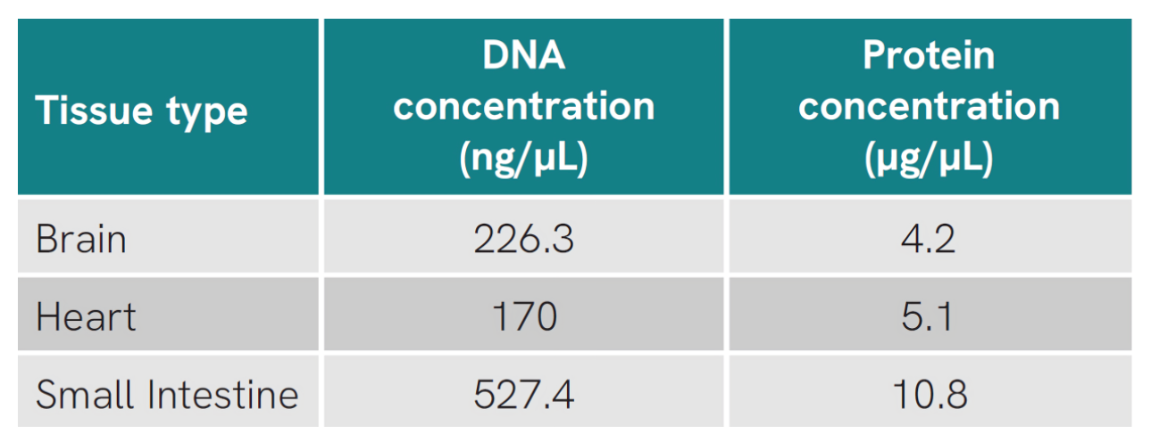 High-Throughput Genomic DNA and Protein Extraction from Multiple Tissue ...